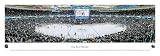 Blakeway San Jose Sharks 13.5 X 40 Panorama