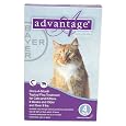 Advantage - Purple Box for Cats over 9 lbs - 4 pack