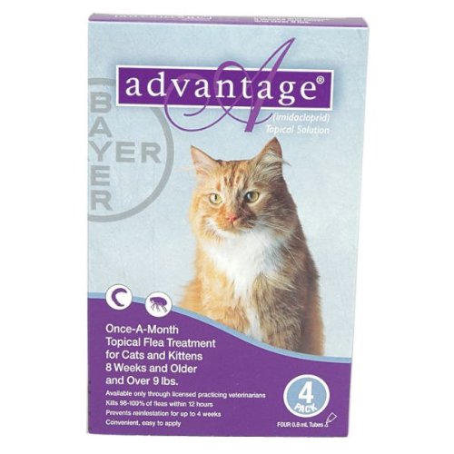 Advantage - Purple Box for Cats over 9 lbs - 4 pack