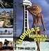 Florida&rsquo;s Miracle Strip: From Redneck Riviera to Emerald Coast