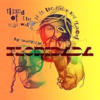 Animal Collective Ablum Cover