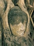 Head of Buddha Statue Overgrown with Tree Roots, Wat Phra Mahathat, Ayuthaya , Thailand Photographic Poster Print by Marco Simoni, 9x12 51y67fgBzfL. SL160 Head of Buddha Statue Overgrown with Tree Roots, Wat Phra Mahathat, Ayuthaya , Thailand Photographic Poster Print by Marco Simoni, 9x12