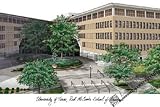 University of Texas Longhorns Lithograph Print Photo