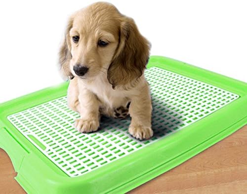 Indoor Pet Toilet Dog Restroom Potty Training with Tray and Puppy Pad Pet Training Toilet (Green(48 36 13.5cm))