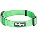 Blueberry Pet Essentials Neon Green Adjustable & Durable Large Dog Collar for Boys | Classic Collars for Large & Small Dogs, Stylish, Sturdy Nylon Collar for Pet Lovers
