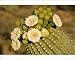 Photographic Prints of TD-1750 Giant Saguaro - With buds and flowers from Ardea Wildlife Pets