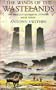 The Winds of the Wastelands (Perilous Quest for Lyonesse)