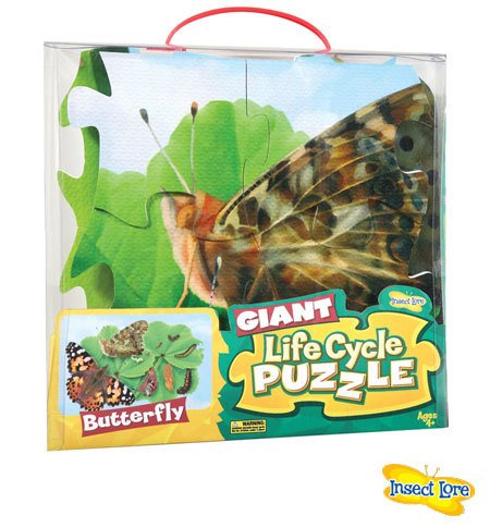 Insect Lore Giant Lifecycle Puzzle - BUTTERFLY Insect Lore Giant Lifecycle Puzzle - BUTTERFLY