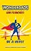Wonderdads San Francisco: The Best Dad/Child Activities, Restaurants, Sporting Events & Unique Adventures for San Francisco Dads