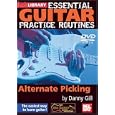 Essential Guitar Practice Routines: Alternate Picking