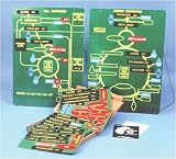 National Teaching Aids T-604 Teaching Cell Respiration
