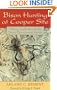 Bison Hunting at Cooper Site: Where Lightning Bolts Drew Thundering Herds
