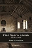 Poor relief in Ireland, 1851-1914