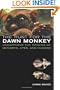 The Hunt for the Dawn Monkey: Unearthing the Origins of Monkeys, Apes, and Humans