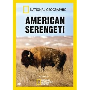 American Serengeti by 