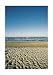 Riccione, Italia by Franco Fontana poster print,19.5 in. x 27.5 in.