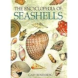 the encyclopedia of seashells