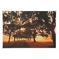 Morning Walk Canvas Wall Art - 28x40"
