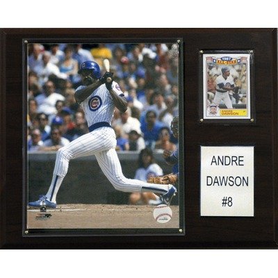 MLB Chicago Cubs Andre Dawson Player Plaque