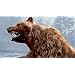 Dangerous Hunts 2011
