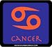 Cancer Toll Pass Holder