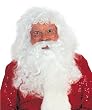 Synthetic Santa Costume Beard and Wig Set