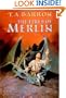 The Fires of Merlin (Lost Years of Merlin)