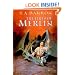 The Fires of Merlin (Lost Years Of Merlin)