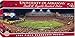 MasterPieces Collegiate Arkansas Razorbacks 1000 Piece Stadium Panoramic Jigsaw Puzzle