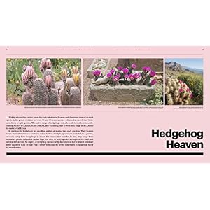 The Gardener's Guide to Cactus: The 100 Best Paddles, Barrels, Columns, and Globes