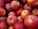 Apples Dehydrated Freeze Dried Survival Food - Giant #10 Can