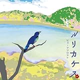 ��ꥫ����