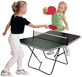 Butterfly Family Table Tennis Table