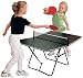 Butterfly Family Table Tennis Table
