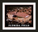 Large Griffin Stadium Florida Gators Aerial Framed Print - Black Double Mat