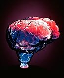 Mini Brain Electra Lamp