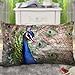 Fablegent Elegant Decorative Throw Pillow Cover - Rectangular Peacock Fashion Design on Both Sides - Soft Velvet Fabric - XH103