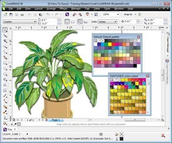 Corel Draw CorelDRAW X6 &amp; Adobe Photoshop Elements 11 Tutorial Training 4 DVDs