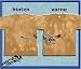 Sports : Gepard - T-Shirt 100% Baumwolle
