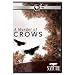 Nature: A Murder of Crows