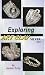 Exploring Art Clay Silver, Part 1 [VHS]