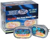 High Power Blue Halogen Lamp Set
