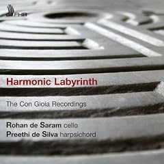 Harmonic Labyrinth - The Con Gioia Recordings