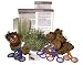 DuneCraft Dinosaur Plant Classroom Kit C