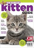 The your cat kitten guide