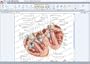 SmartDraw 2009 Healthcare Edition
