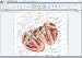 SmartDraw 2009 Healthcare Edition