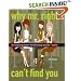 Why Mr. Right Can't Find You: The Surprising Answers that will Change your Life...and His