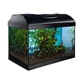 Komplett Aquarium Set 40 40x25x25 25 L Filter Heizer