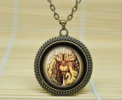 Fashion Jewelry Steampunk Vintage Anatomical Brain Pendant Anatomical Brain Necklace Anatomical Brain Jewelry Glass Cabochon Necklace A1218